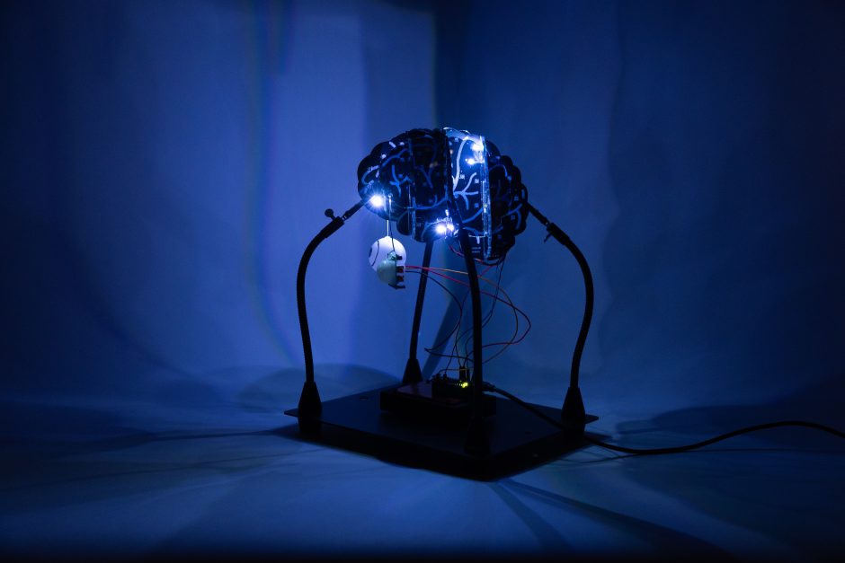 Body of Work by Priyanka Makin (ITP '24)